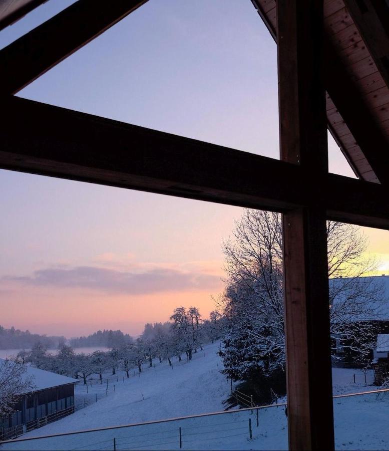 Trautesheim Ferienwohnungen Wangen im Allgäu Extérieur photo