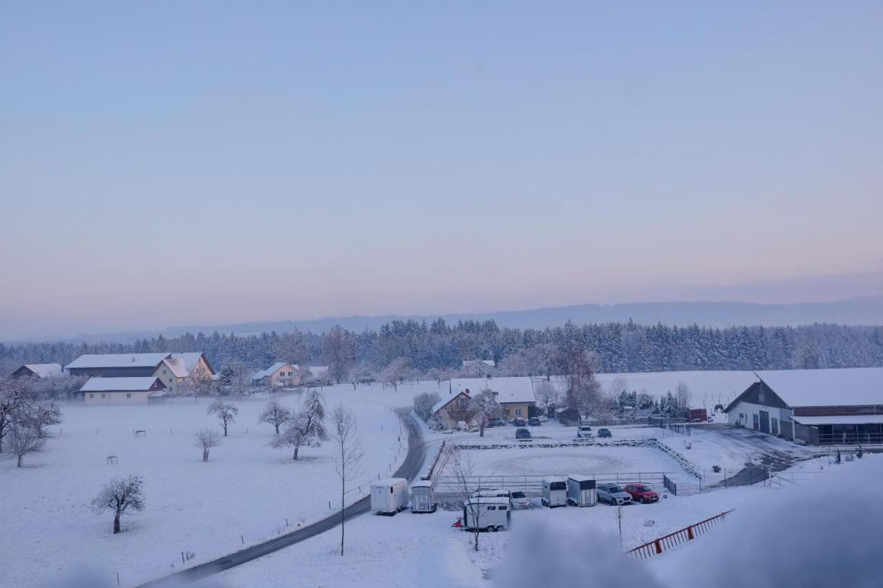 Trautesheim Ferienwohnungen Wangen im Allgäu Extérieur photo