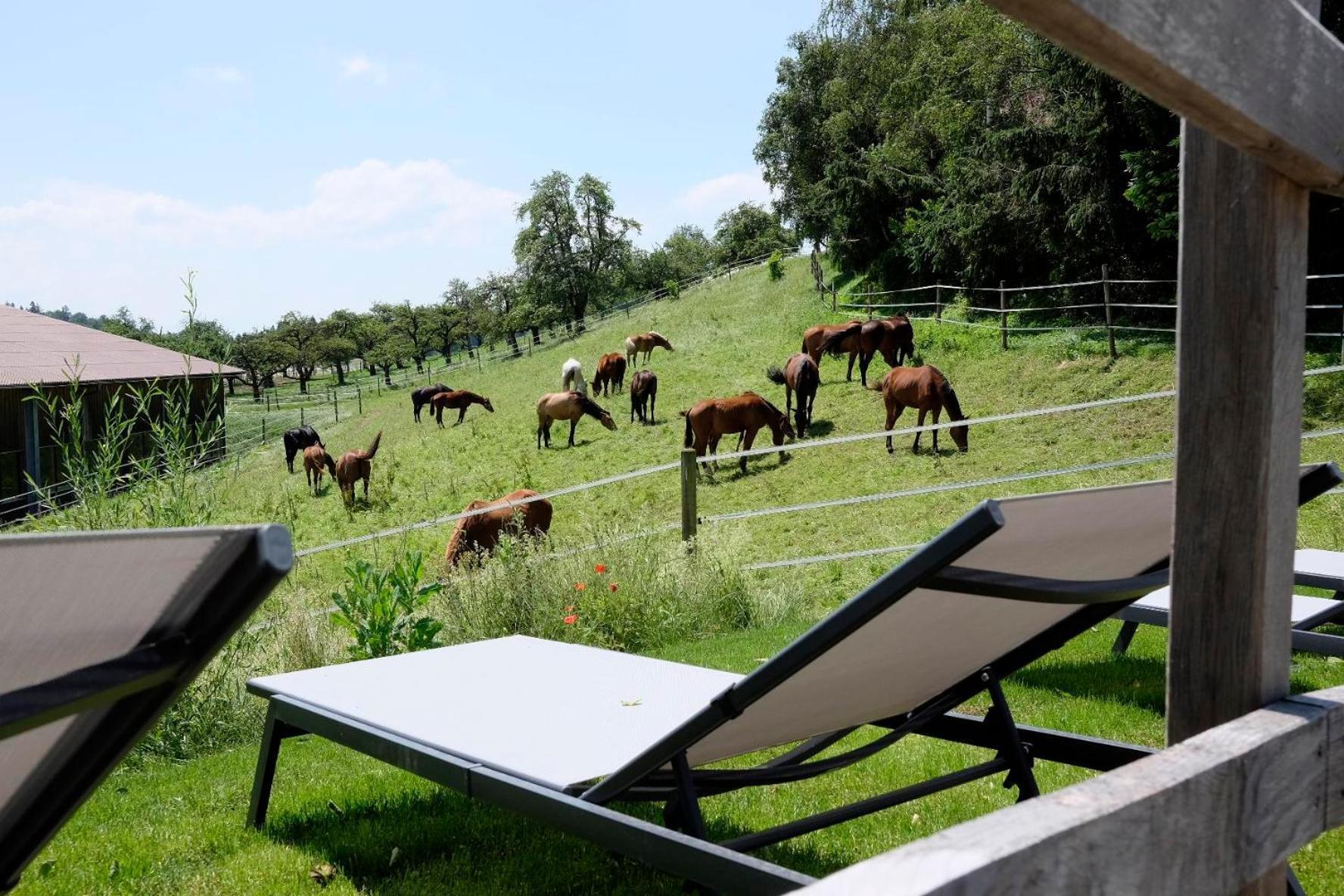 Trautesheim Ferienwohnungen Wangen im Allgäu Extérieur photo