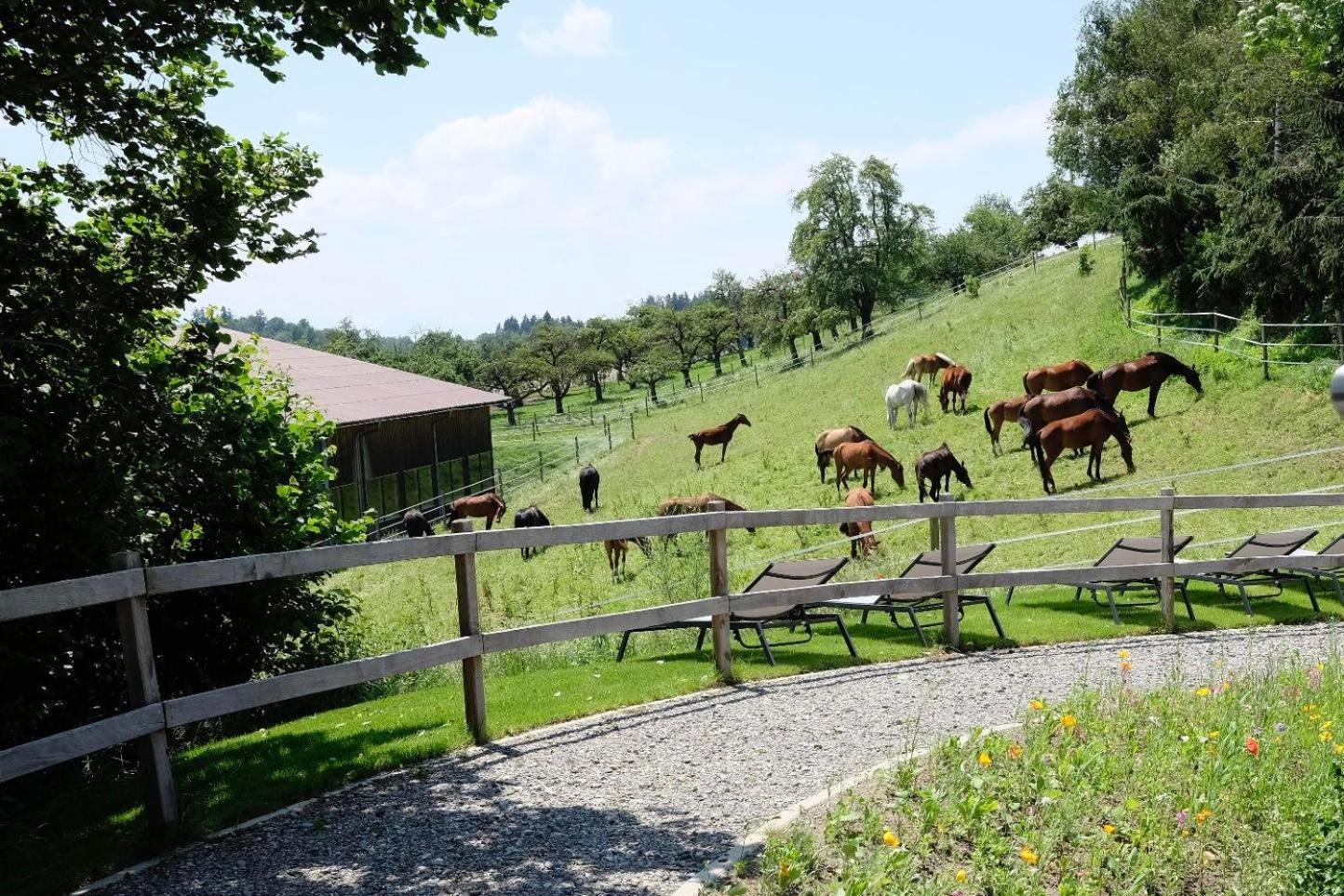 Trautesheim Ferienwohnungen Wangen im Allgäu Extérieur photo